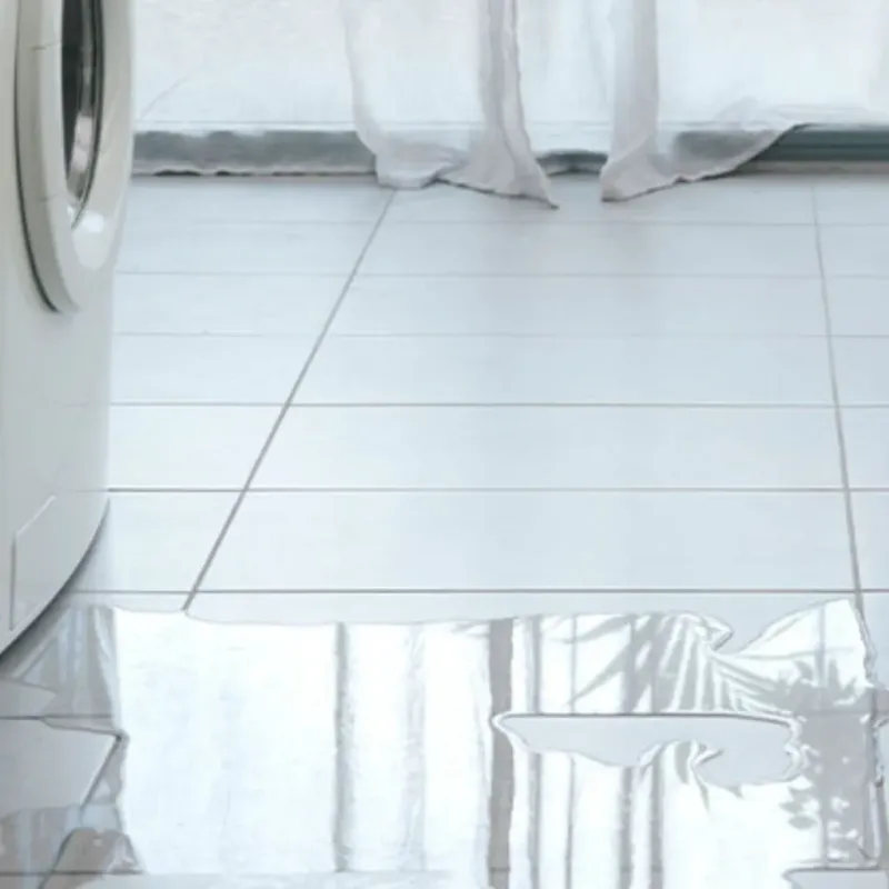 Appliance Leak Cleanup in Sandston, VA