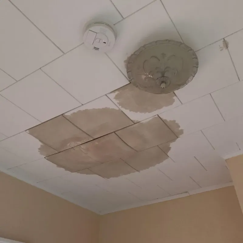Ceiling Water Damage Repair in Sandston, VA