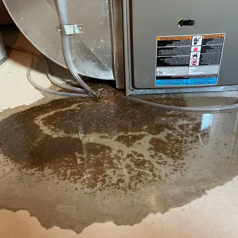 Pipe Burst and Leak Restoration in Sandston, VA