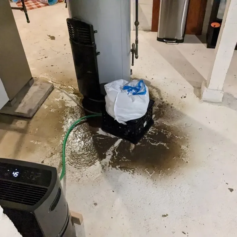 Sewage Backup Cleanup Service in Sandston, VA